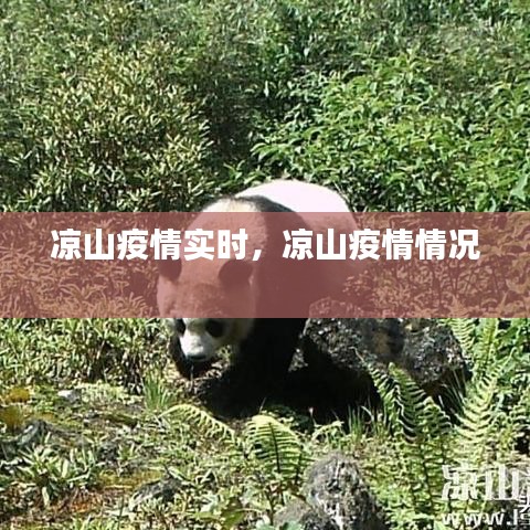 手舞足蹈 第4頁