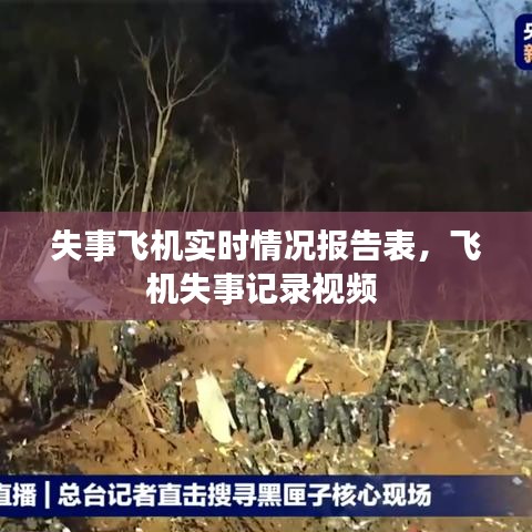 失事飛機(jī)實(shí)時(shí)情況報(bào)告表，飛機(jī)失事記錄視頻 