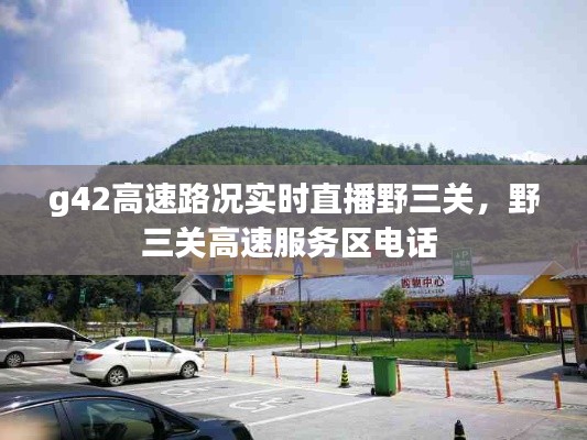 g42高速路況實(shí)時(shí)直播野三關(guān)，野三關(guān)高速服務(wù)區(qū)電話 
