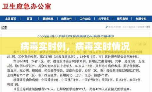 病毒實(shí)時(shí)例，病毒實(shí)時(shí)情況 