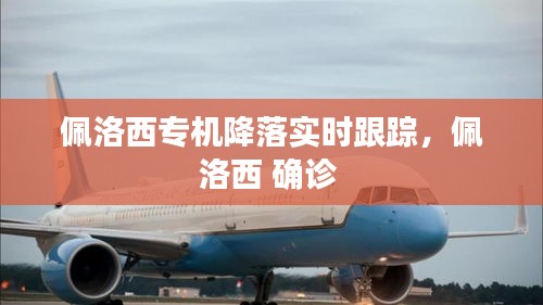佩洛西專機降落實時跟蹤，佩洛西 確診 