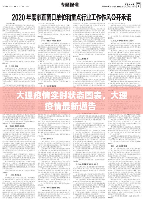 大理疫情實(shí)時狀態(tài)圖表，大理疫情最新通告 