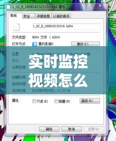 實時監(jiān)控視頻怎么轉格式，監(jiān)控視頻格式轉換器 