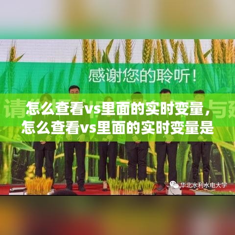 怎么查看vs里面的實(shí)時(shí)變量，怎么查看vs里面的實(shí)時(shí)變量是否正確 