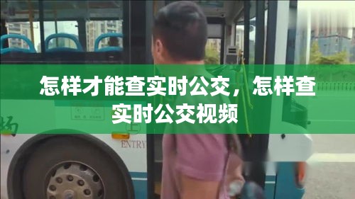 怎樣才能查實時公交，怎樣查實時公交視頻 