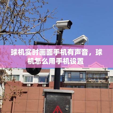 一席之地 第4頁