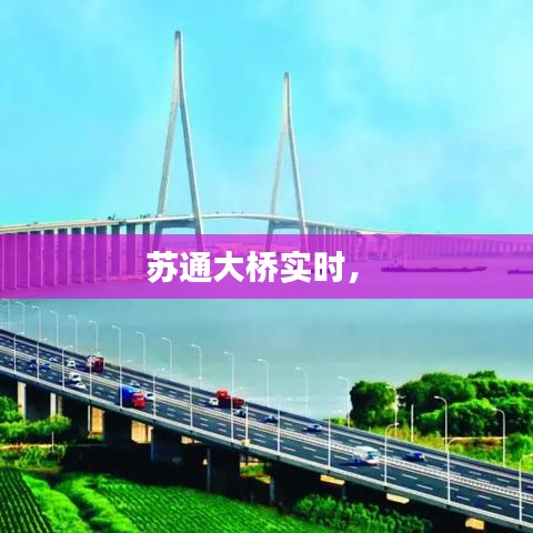 蘇通大橋?qū)崟r， 