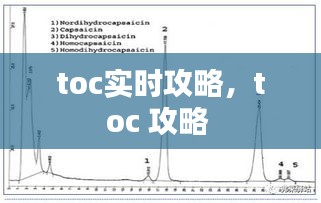 toc實時攻略，toc 攻略 