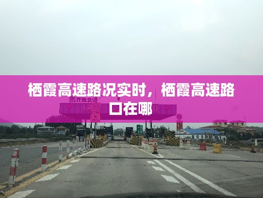 棲霞高速路況實時，棲霞高速路口在哪 