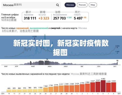 新冠實(shí)時(shí)圖，新冠實(shí)時(shí)疫情數(shù)據(jù)圖 