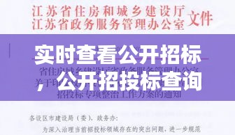 實(shí)時(shí)查看公開招標(biāo)，公開招投標(biāo)查詢 