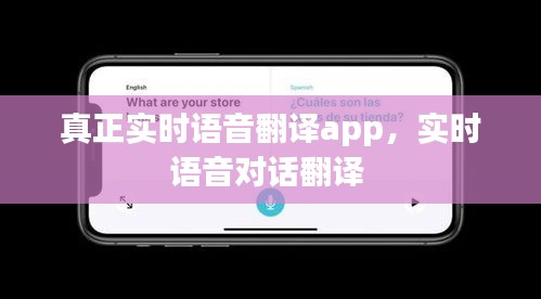 真正實時語音翻譯app，實時語音對話翻譯 