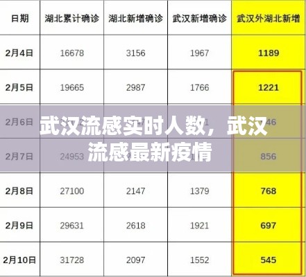 武漢流感實時人數(shù)，武漢流感最新疫情 