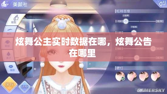 炫舞公主實時數(shù)據(jù)在哪，炫舞公告在哪里 