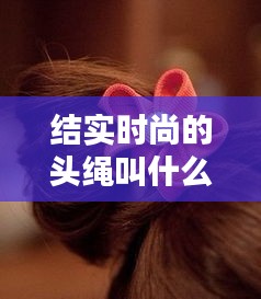 結(jié)實時尚的頭繩叫什么，結(jié)實時尚的頭繩叫什么名稱 
