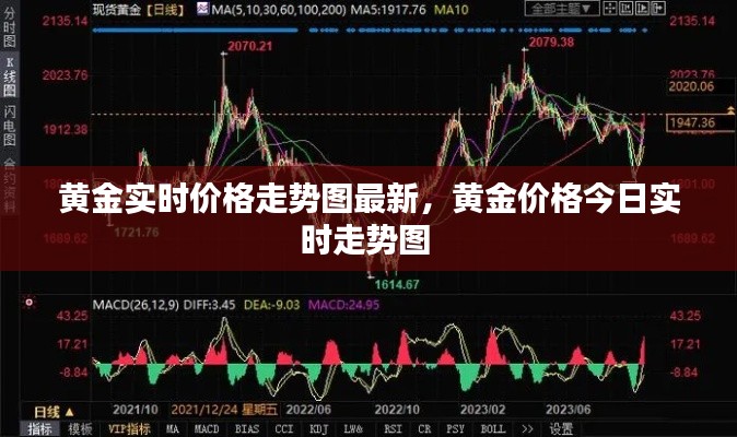 黃金實(shí)時(shí)價(jià)格走勢(shì)圖最新，黃金價(jià)格今日實(shí)時(shí)走勢(shì)圖 