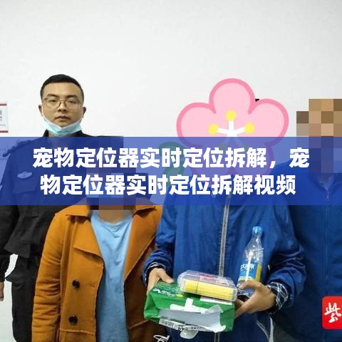 寵物定位器實(shí)時定位拆解，寵物定位器實(shí)時定位拆解視頻 