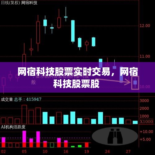 網(wǎng)宿科技股票實(shí)時(shí)交易，網(wǎng)宿科技股票股 