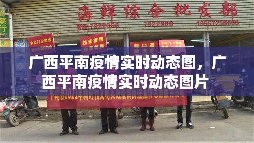 廣西平南疫情實時動態(tài)圖，廣西平南疫情實時動態(tài)圖片 