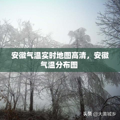 曇花一現(xiàn) 第4頁