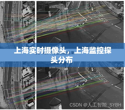 上海實(shí)時(shí)攝像頭，上海監(jiān)控探頭分布 
