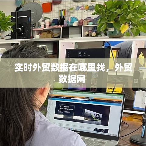 實(shí)時(shí)外貿(mào)數(shù)據(jù)在哪里找，外貿(mào)數(shù)據(jù)網(wǎng) 
