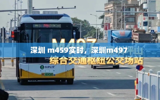 深圳 m459實時，深圳m497 