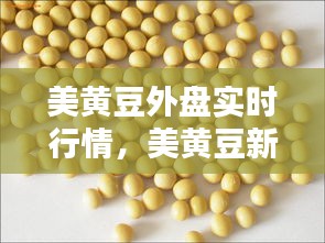 美黃豆外盤實(shí)時(shí)行情，美黃豆新浪財(cái)經(jīng) 