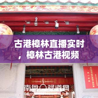 古港樟林直播實(shí)時(shí)，樟林古港視頻 