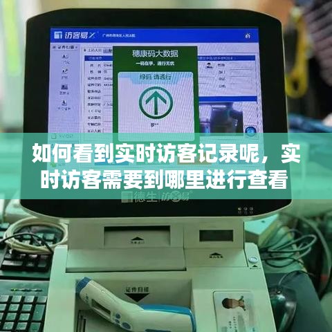 如何看到實時訪客記錄呢，實時訪客需要到哪里進行查看 