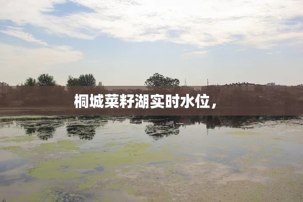 瞻云就日 第4頁(yè)