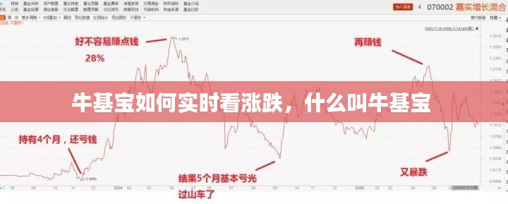 ?；鶎毴绾螌崟r看漲跌，什么叫?；鶎?