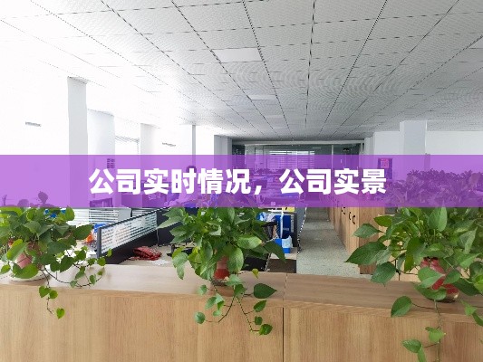 蕩然無存 第4頁