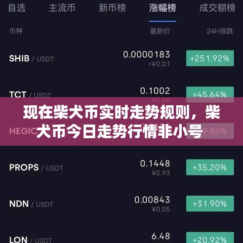 現(xiàn)在柴犬幣實時走勢規(guī)則，柴犬幣今日走勢行情非小號 