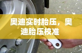 奧迪實(shí)時(shí)胎壓，奧迪胎壓校準(zhǔn) 