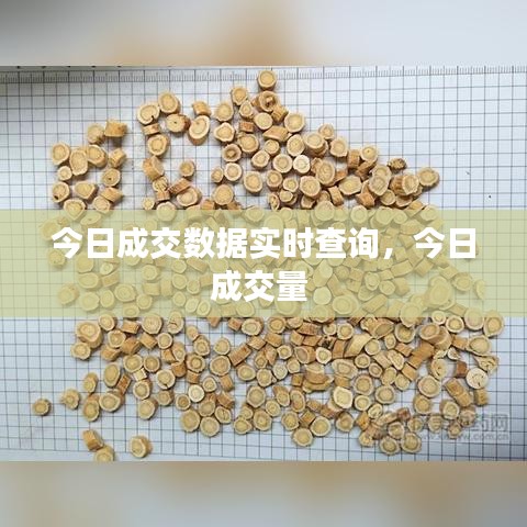 今日成交數(shù)據(jù)實時查詢，今日成交量 