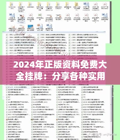 2024年正版資料免費(fèi)大全掛牌：分享各種實(shí)用指南，讓你事半功倍的學(xué)習(xí)工具