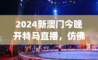 飛龍?jiān)谔?第4頁