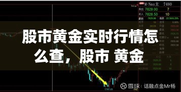 股市黃金實(shí)時(shí)行情怎么查，股市 黃金 