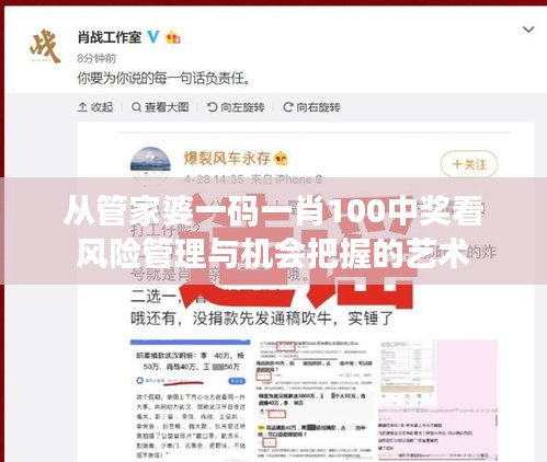 從管家婆一碼一肖100中獎(jiǎng)看風(fēng)險(xiǎn)管理與機(jī)會(huì)把握的藝術(shù)