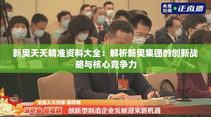 新奧天天精準(zhǔn)資料大全：解析新奧集團(tuán)的創(chuàng)新戰(zhàn)略與核心競(jìng)爭(zhēng)力