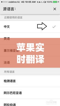 蘋果實時翻譯記錄怎么看，蘋果實時翻譯在哪 