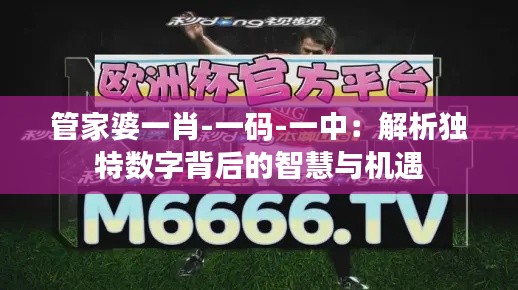 管家婆一肖-一碼-一中：解析獨(dú)特?cái)?shù)字背后的智慧與機(jī)遇