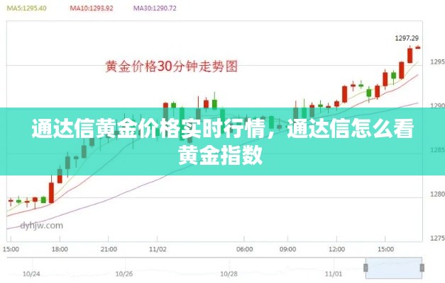通達信黃金價格實時行情，通達信怎么看黃金指數(shù) 