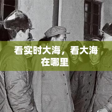 看實(shí)時(shí)大海，看大海在哪里 