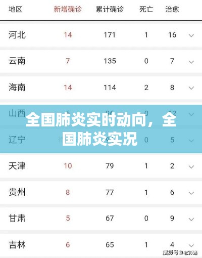全國(guó)肺炎實(shí)時(shí)動(dòng)向，全國(guó)肺炎實(shí)況 