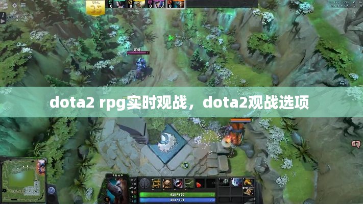 dota2 rpg實(shí)時(shí)觀戰(zhàn)，dota2觀戰(zhàn)選項(xiàng) 