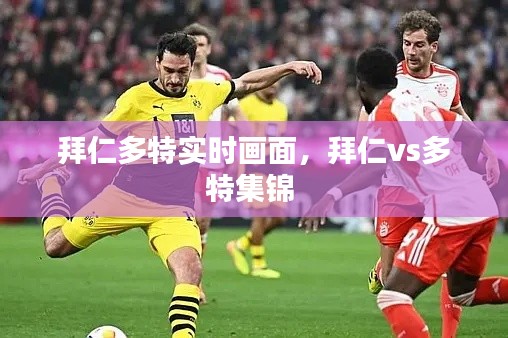 拜仁多特實(shí)時(shí)畫(huà)面，拜仁vs多特集錦 