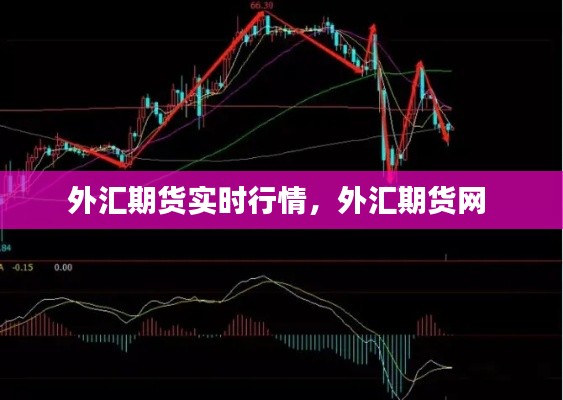外匯期貨實(shí)時(shí)行情，外匯期貨網(wǎng) 