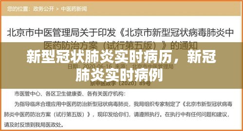 新型冠狀肺炎實(shí)時(shí)病歷，新冠肺炎實(shí)時(shí)病例 